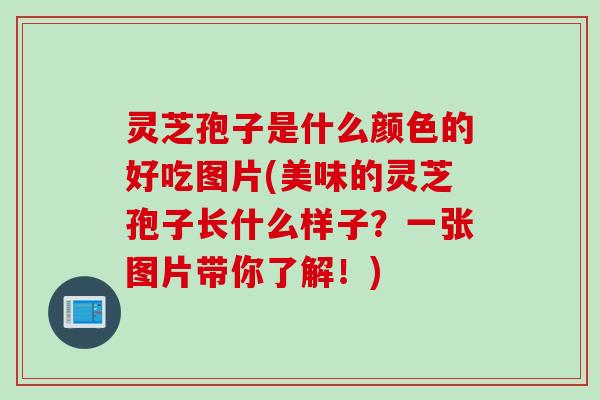 灵芝孢子是什么颜色的好吃图片(美味的灵芝孢子长什么样子？一张图片带你了解！)