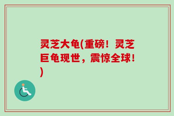 灵芝大龟(重磅！灵芝巨龟现世，震惊全球！)