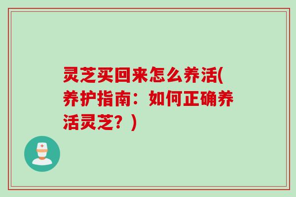 灵芝买回来怎么养活(养护指南：如何正确养活灵芝？)