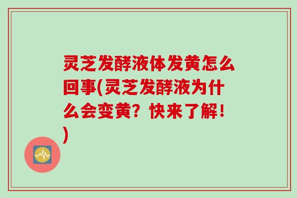 灵芝发酵液体发黄怎么回事(灵芝发酵液为什么会变黄？快来了解！)