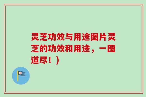 灵芝功效与用途图片灵芝的功效和用途,一图道尽!) 灵芝功效与用途图片灵芝的功效和用途,一图道尽!)
