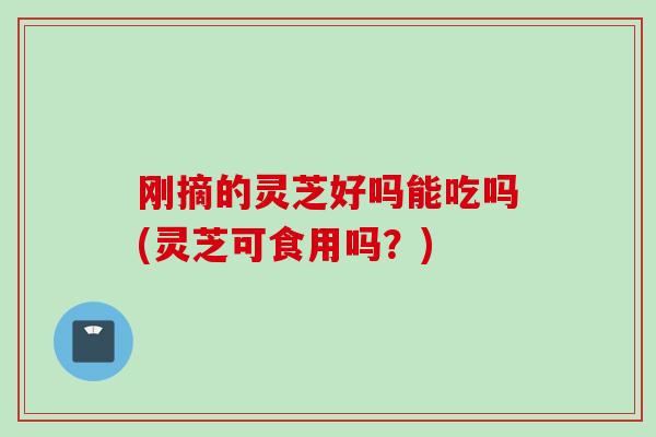 刚摘的灵芝好吗能吃吗(灵芝可食用吗？)