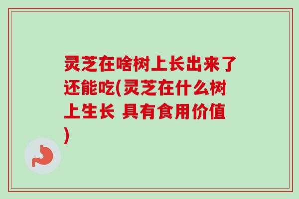 灵芝在啥树上长出来了还能吃(灵芝在什么树上生长 具有食用价值)