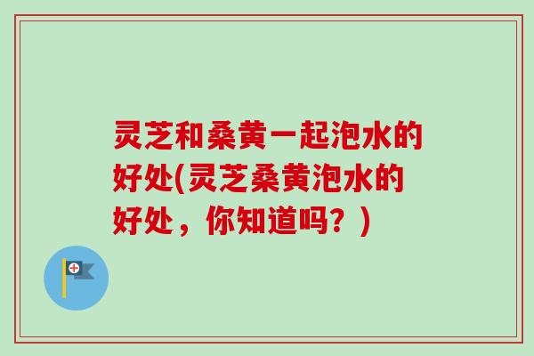 灵芝和桑黄一起泡水的好处(灵芝桑黄泡水的好处，你知道吗？)