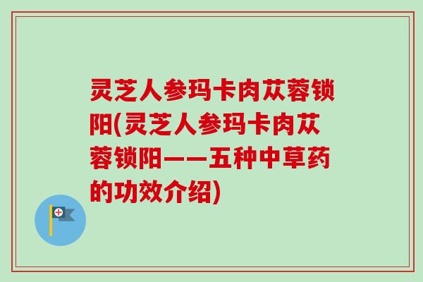灵芝人参玛卡肉苁蓉锁阳(灵芝人参玛卡肉苁蓉锁阳——五种中草药的功效介绍)