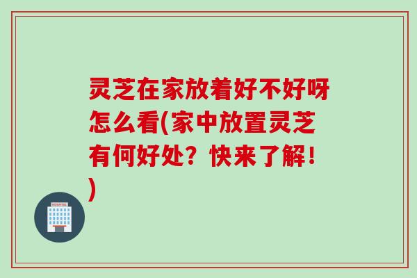 灵芝在家放着好不好呀怎么看(家中放置灵芝有何好处？快来了解！)