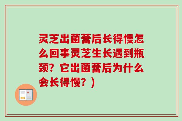 灵芝出菌蕾后长得慢怎么回事灵芝生长遇到瓶颈？它出菌蕾后为什么会长得慢？)