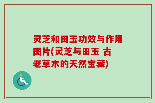 灵芝和田玉功效与作用图片(灵芝与田玉 古老草木的天然宝藏)