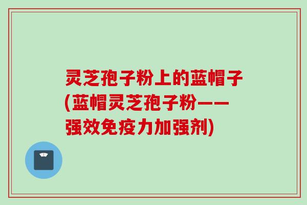 灵芝孢子粉上的蓝帽子(蓝帽灵芝孢子粉——强效免疫力加强剂)