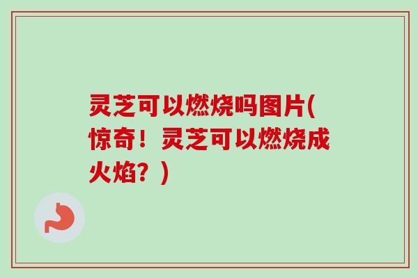 灵芝可以燃烧吗图片(惊奇！灵芝可以燃烧成火焰？)