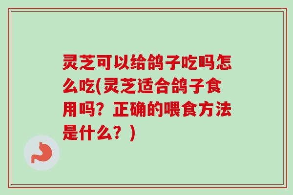 灵芝可以给鸽子吃吗怎么吃(灵芝适合鸽子食用吗？正确的喂食方法是什么？)