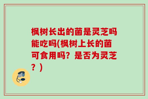 枫树长出的菌是灵芝吗能吃吗(枫树上长的菌可食用吗？是否为灵芝？)