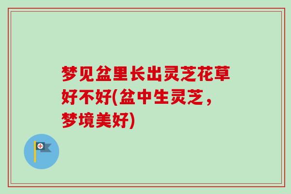 梦见盆里长出灵芝花草好不好(盆中生灵芝，梦境美好)