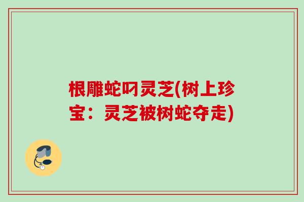 根雕蛇叼灵芝(树上珍宝：灵芝被树蛇夺走)