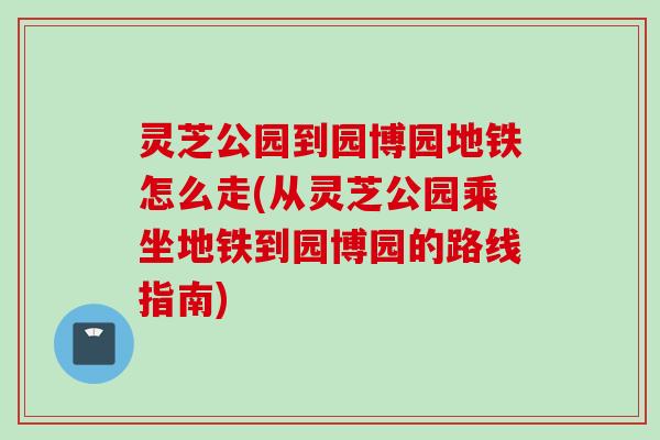 灵芝公园到园博园地铁怎么走(从灵芝公园乘坐地铁到园博园的路线指南)
