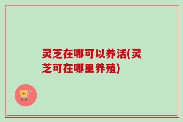 灵芝在哪可以养活(灵芝可在哪里养殖)