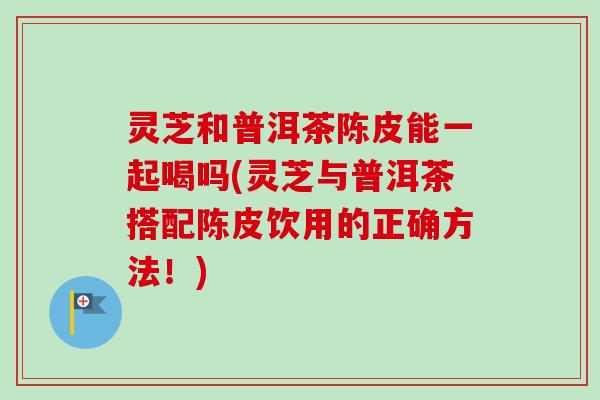 灵芝和普洱茶陈皮能一起喝吗(灵芝与普洱茶搭配陈皮饮用的正确方法！)