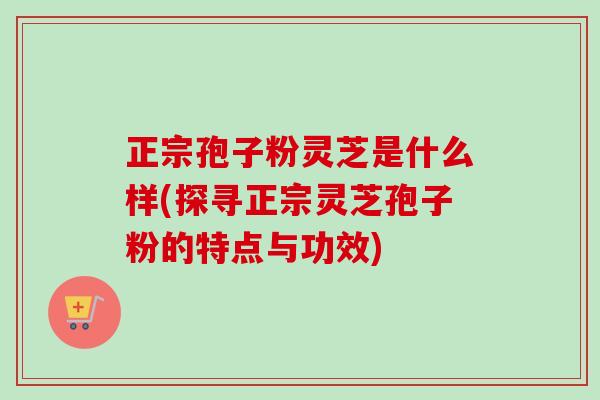 正宗孢子粉灵芝是什么样(探寻正宗灵芝孢子粉的特点与功效)