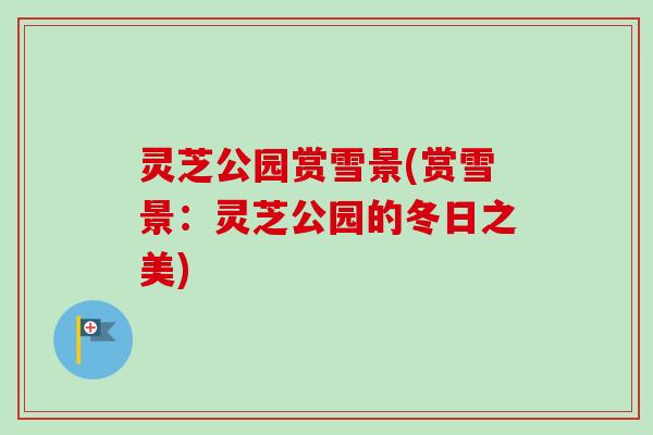 灵芝公园赏雪景(赏雪景：灵芝公园的冬日之美)