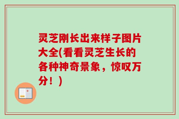 灵芝刚长出来样子图片大全(看看灵芝生长的各种神奇景象，惊叹万分！)