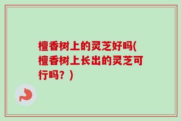 檀香树上的灵芝好吗(檀香树上长出的灵芝可行吗？)