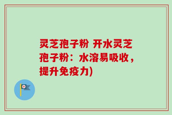 灵芝孢子粉 开水灵芝孢子粉：水溶易吸收，提升免疫力)