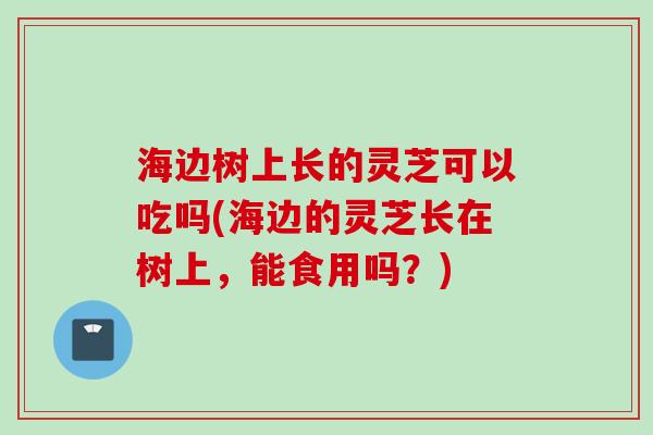 海边树上长的灵芝可以吃吗(海边的灵芝长在树上，能食用吗？)