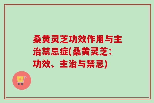 桑黄灵芝功效作用与主治禁忌症(桑黄灵芝：功效、主治与禁忌)