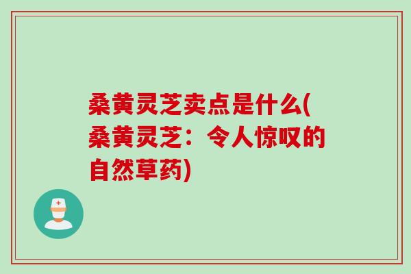 桑黄灵芝卖点是什么(桑黄灵芝：令人惊叹的自然草药)