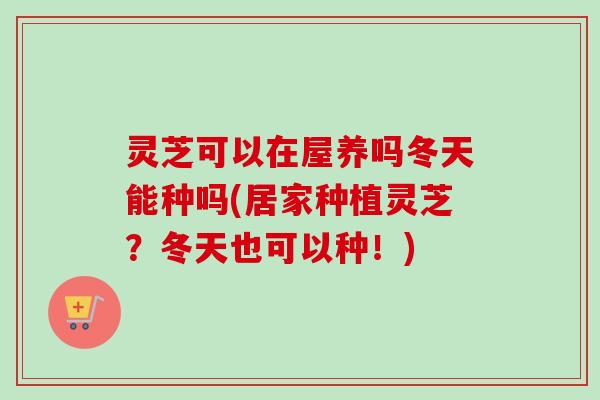 灵芝可以在屋养吗冬天能种吗(居家种植灵芝？冬天也可以种！)