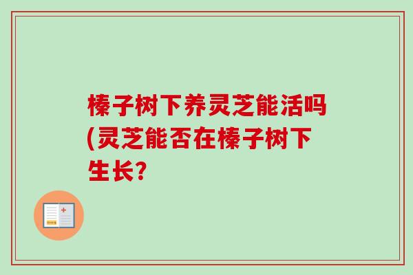 榛子树下养灵芝能活吗(灵芝能否在榛子树下生长？