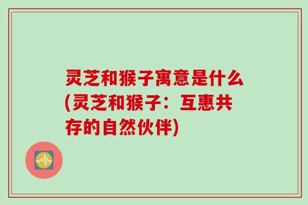 灵芝和猴子寓意是什么(灵芝和猴子：互惠共存的自然伙伴)