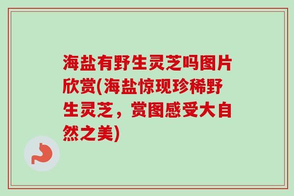 海盐有野生灵芝吗图片欣赏(海盐惊现珍稀野生灵芝，赏图感受大自然之美)