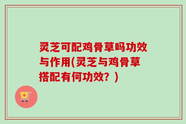 灵芝可配鸡骨草吗功效与作用(灵芝与鸡骨草搭配有何功效?) 灵芝可配鸡骨草吗功效与作用(灵芝与鸡骨草搭配有何功效?)