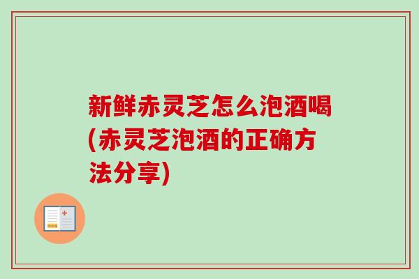 新鲜赤灵芝怎么泡酒喝(赤灵芝泡酒的正确方法分享)