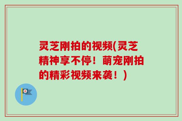 灵芝刚拍的视频(灵芝精神享不停!萌宠刚拍的精彩视频来袭!) 灵芝刚拍的视频(灵芝精神享不停!萌宠刚拍的精彩视频来袭!)
