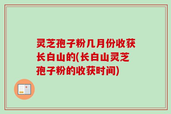 灵芝孢子粉几月份收获长白山的(长白山灵芝孢子粉的收获时间)