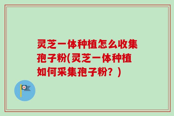 灵芝一体种植怎么收集孢子粉(灵芝一体种植如何采集孢子粉？)