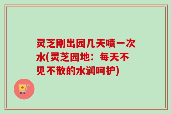 灵芝刚出园几天喷一次水(灵芝园地：每天不见不散的水润呵护)