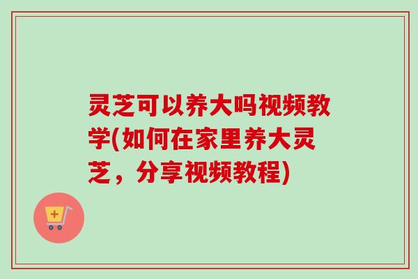灵芝可以养大吗视频教学(如何在家里养大灵芝，分享视频教程)