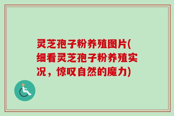 灵芝孢子粉养殖图片(细看灵芝孢子粉养殖实况，惊叹自然的魔力)