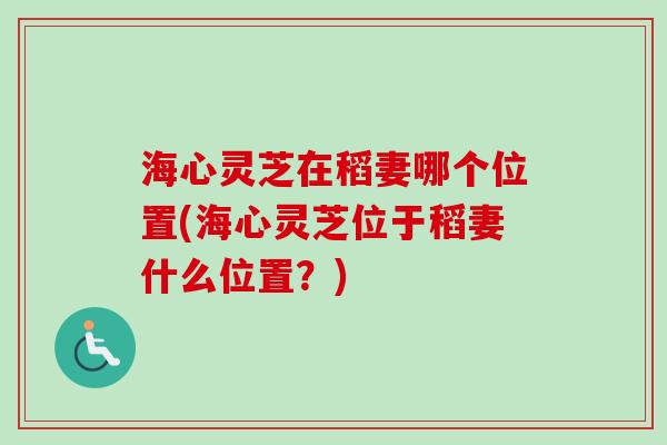 海心灵芝在稻妻哪个位置(海心灵芝位于稻妻什么位置？)