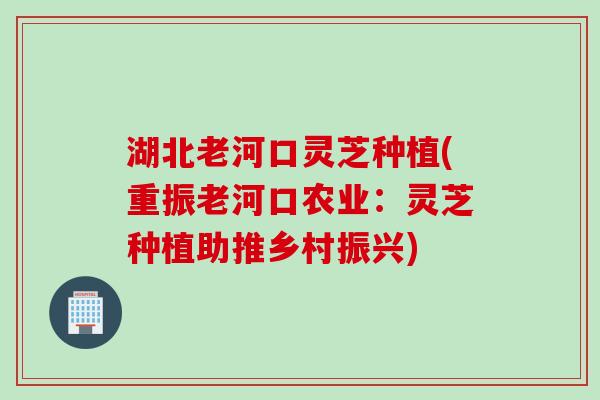 湖北老河口灵芝种植(重振老河口农业：灵芝种植助推乡村振兴)