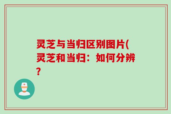 灵芝与当归区别图片(灵芝和当归：如何分辨？