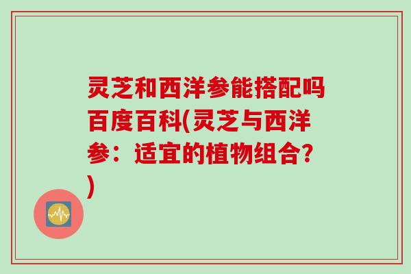 灵芝和西洋参能搭配吗百度百科(灵芝与西洋参：适宜的植物组合？)