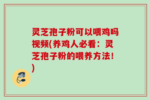 灵芝孢子粉可以喂鸡吗视频(养鸡人必看：灵芝孢子粉的喂养方法！)