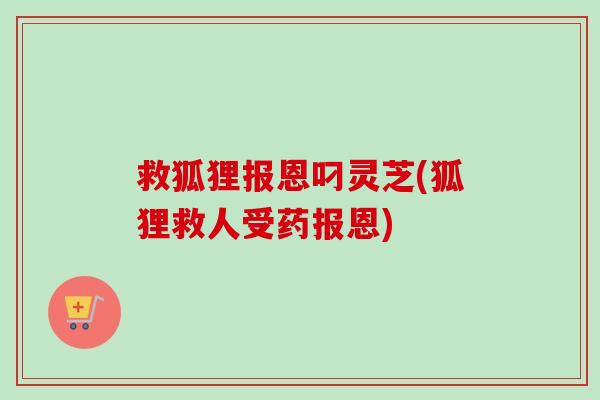 救狐狸报恩叼灵芝(狐狸救人受药报恩) 救狐狸报恩叼灵芝(狐狸救人受药报恩)