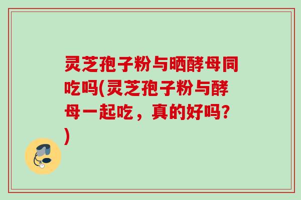灵芝孢子粉与晒酵母同吃吗(灵芝孢子粉与酵母一起吃,真的好吗?) 灵芝孢子粉与晒酵母同吃吗(灵芝孢子粉与酵母一起吃,真的好吗?)