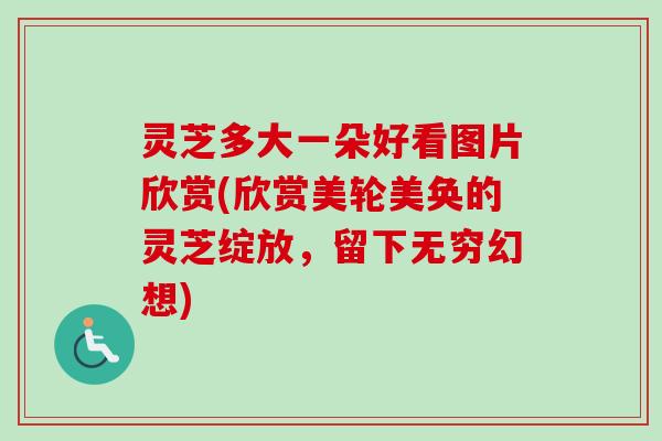 灵芝多大一朵好看图片欣赏(欣赏美轮美奂的灵芝绽放，留下无穷幻想)