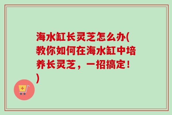 海水缸长灵芝怎么办(教你如何在海水缸中培养长灵芝,一招搞定!) 海水缸长灵芝怎么办(教你如何在海水缸中培养长灵芝,一招搞定!)